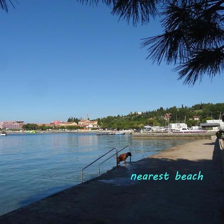 Apartments Nea By Locap Group Portorož Eksteriør bilde